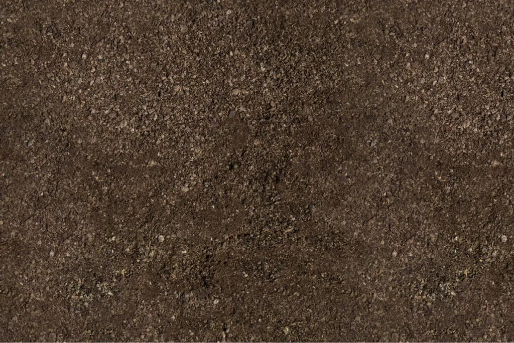 closeup of brown soil