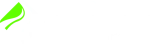 Nation Pavement Partners Logo