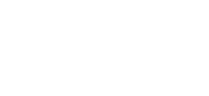 make a wish partner logo