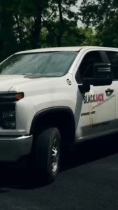 fresh surface thumbnail