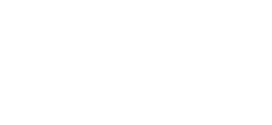 make a wish partner logo