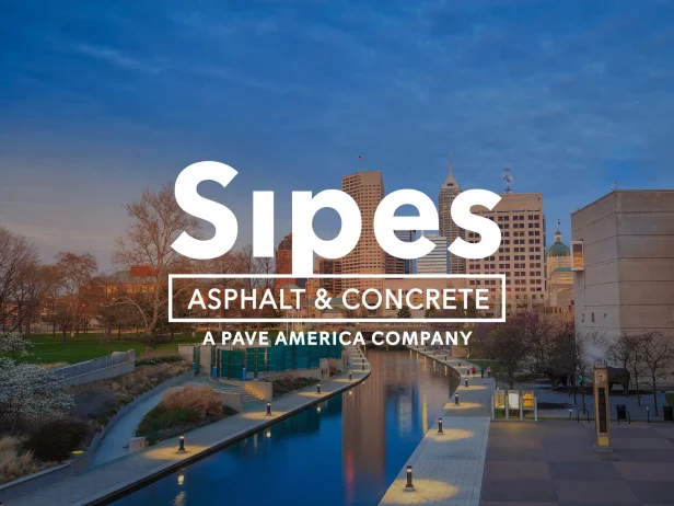 Sipes thumbnail